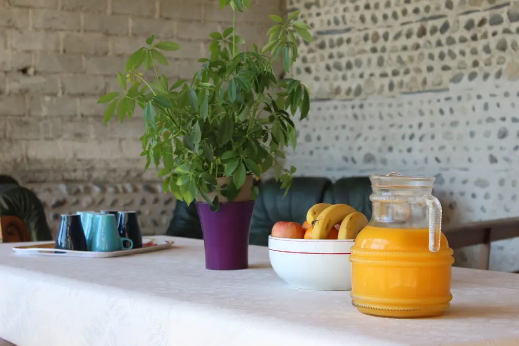 Vaste terrasse abritée dans notre gîte de vacances en Bigorre