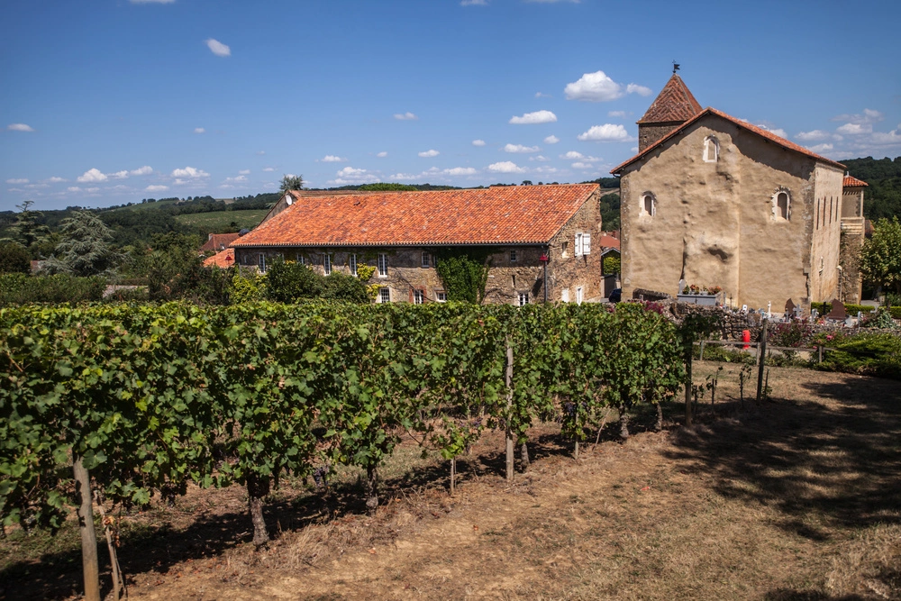 Madiran, vignoble idéal pour l'œnotourisme